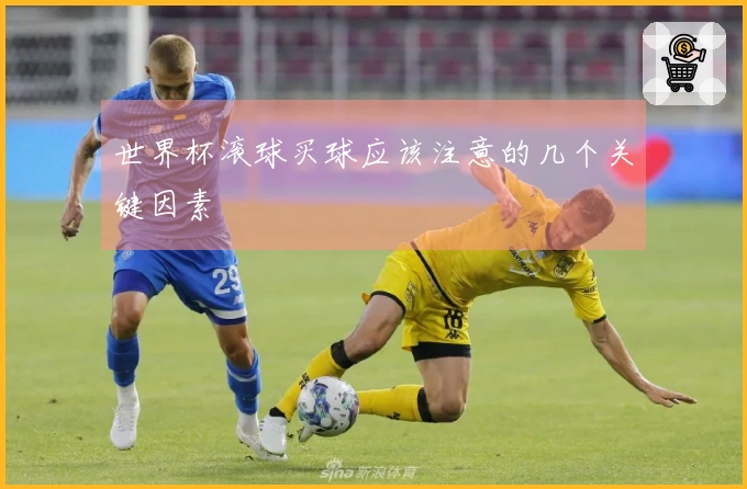 世界杯滚球买球应该注意的几个关键因素