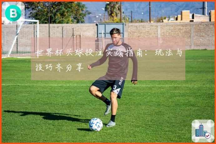 世界杯买球投注实战指南：玩法与技巧齐分享