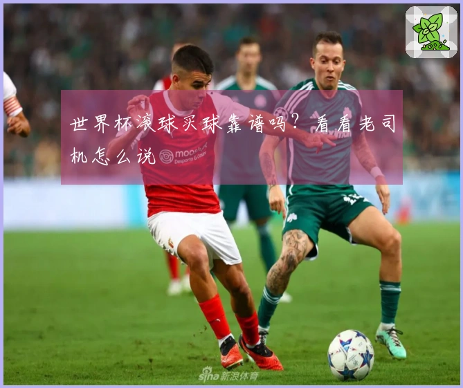 世界杯滚球买球靠谱吗？看看老司机怎么说