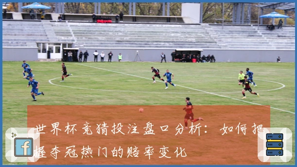 世界杯竞猜投注盘口分析：如何把握夺冠热门的赔率变化