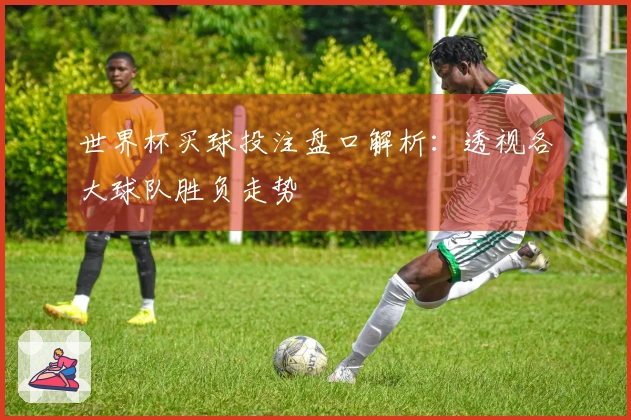 世界杯买球投注盘口解析：透视各大球队胜负走势