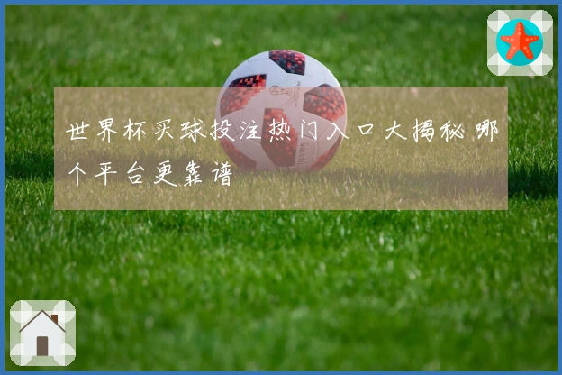 世界杯买球投注热门入口大揭秘 哪个平台更靠谱